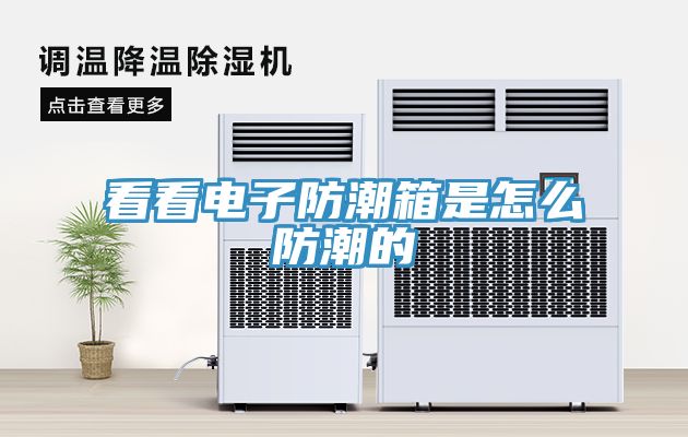 看看電子防潮箱是怎么防潮的