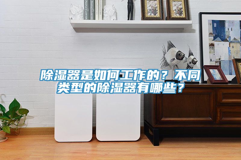 除濕器是如何工作的？不同類型的除濕器有哪些？