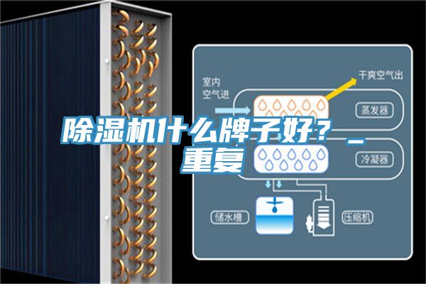 除濕機什么牌子好？_重復
