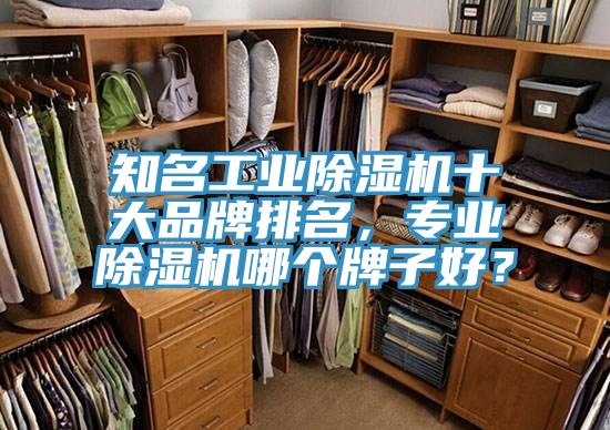 知名工業(yè)除濕機(jī)十大品牌排名，專業(yè)除濕機(jī)哪個(gè)牌子好？