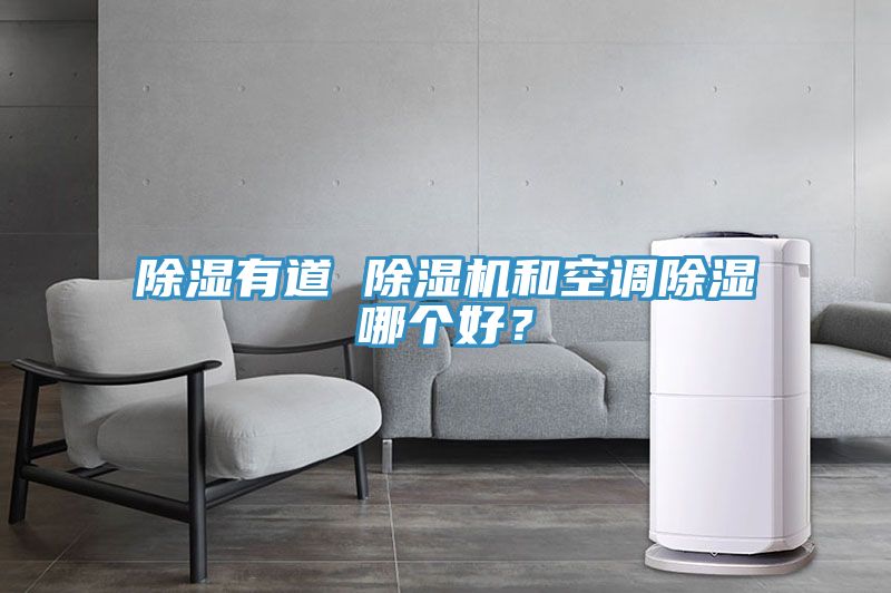 除濕有道 除濕機和空調除濕哪個好？