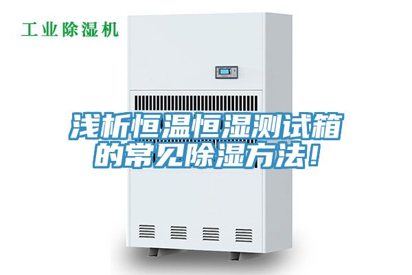 淺析恒溫恒濕測(cè)試箱的常見除濕方法！