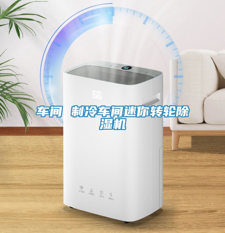 車間 制冷車間迷你轉(zhuǎn)輪除濕機(jī)