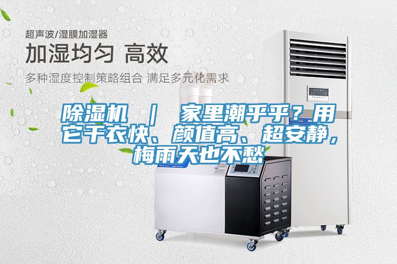 除濕機(jī) ｜ 家里潮乎乎？用它干衣快、顏值高、超安靜，梅雨天也不愁
