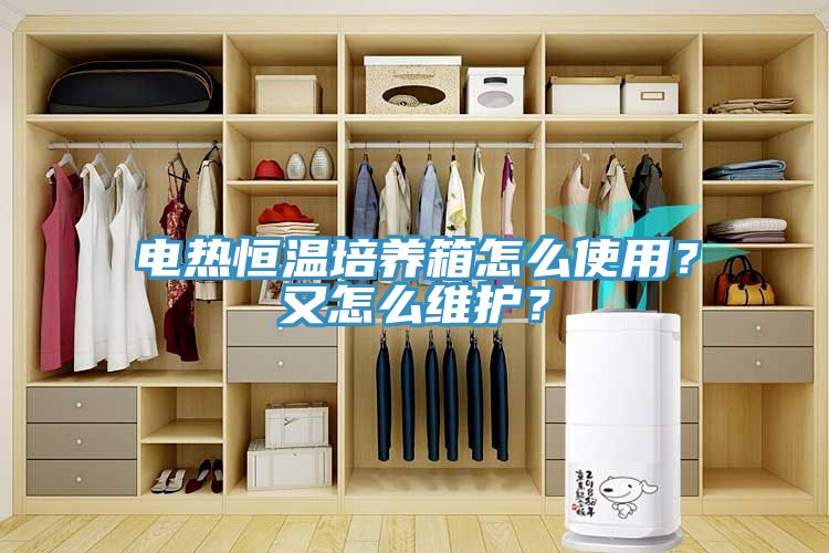 電熱恒溫培養(yǎng)箱怎么使用？又怎么維護(hù)？