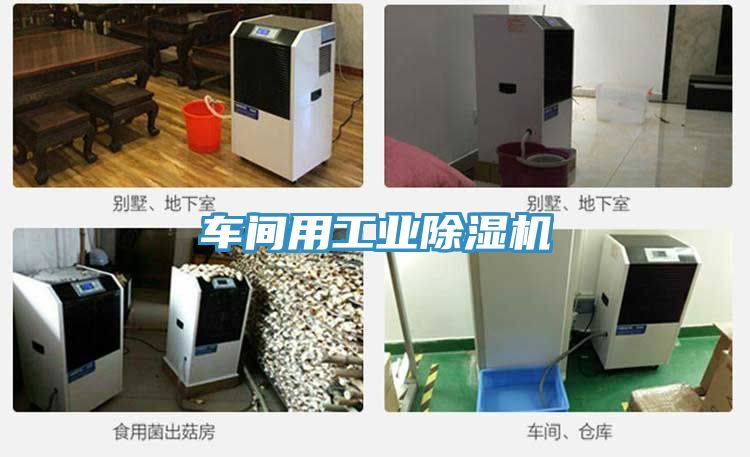 車間用工業(yè)除濕機(jī)