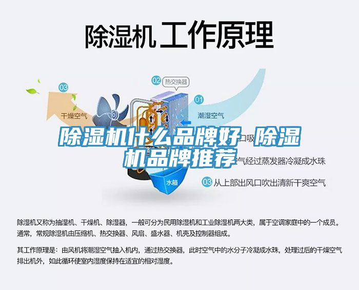 除濕機(jī)什么品牌好 除濕機(jī)品牌推薦