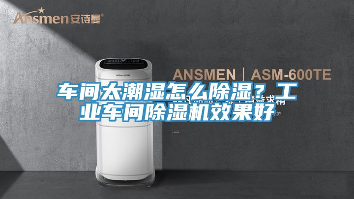 車間太潮濕怎么除濕？工業(yè)車間除濕機(jī)效果好