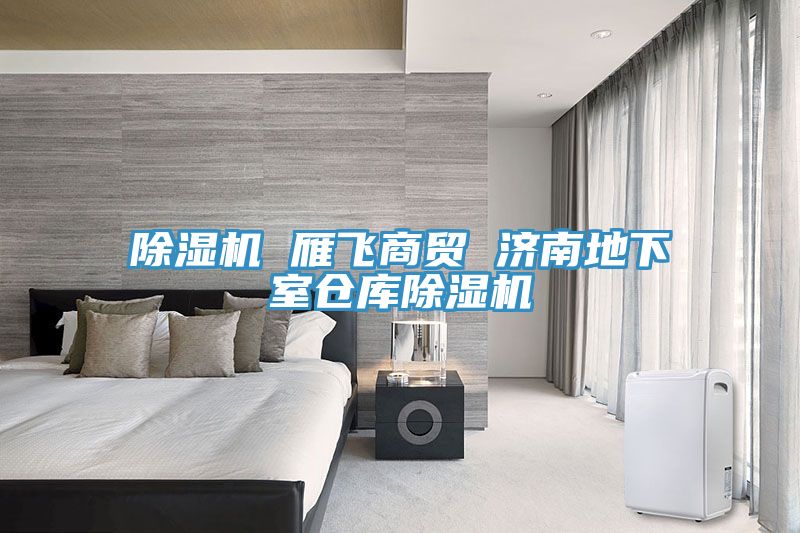 除濕機(jī) 雁飛商貿(mào) 濟(jì)南地下室倉(cāng)庫(kù)除濕機(jī)