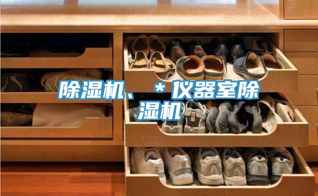 除濕機(jī)、＊儀器室除濕機(jī)