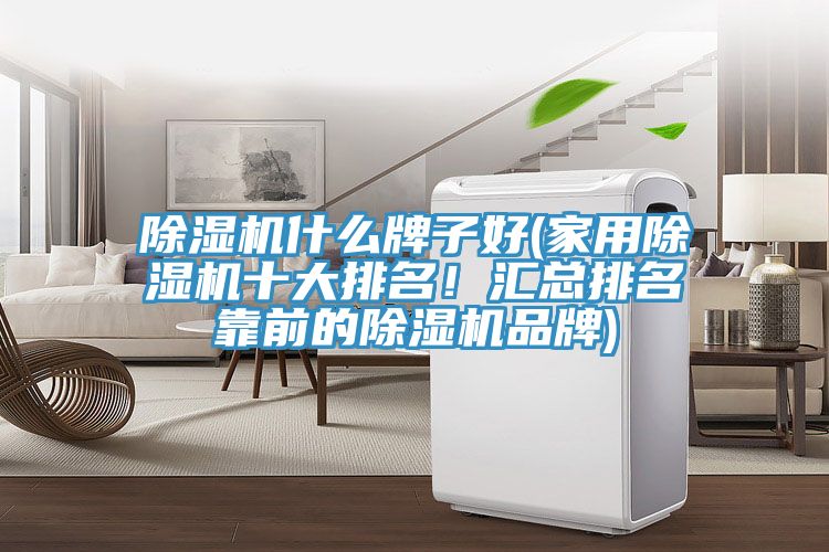 除濕機什么牌子好(家用除濕機十大排名！匯總排名靠前的除濕機品牌)