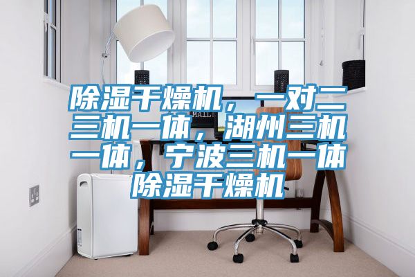 除濕干燥機(jī)，一對二三機(jī)一體，湖州三機(jī)一體，寧波三機(jī)一體除濕干燥機(jī)