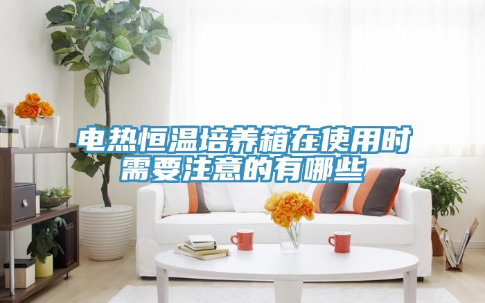 電熱恒溫培養(yǎng)箱在使用時(shí)需要注意的有哪些
