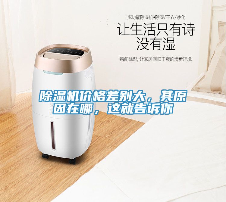 除濕機(jī)價(jià)格差別大，其原因在哪，這就告訴你