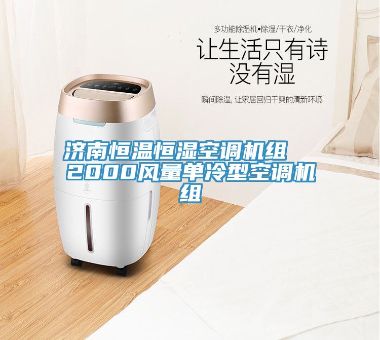 濟南恒溫恒濕空調(diào)機組  2000風(fēng)量單冷型空調(diào)機組