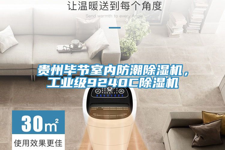 貴州畢節(jié)室內(nèi)防潮除濕機(jī)，工業(yè)級(jí)9240C除濕機(jī)