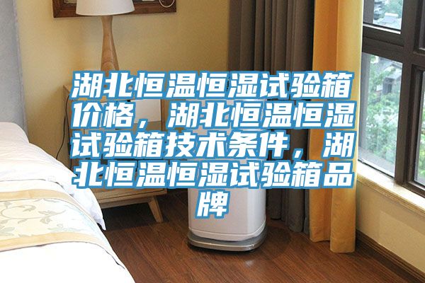 湖北恒溫恒濕試驗箱價格，湖北恒溫恒濕試驗箱技術(shù)條件，湖北恒溫恒濕試驗箱品牌