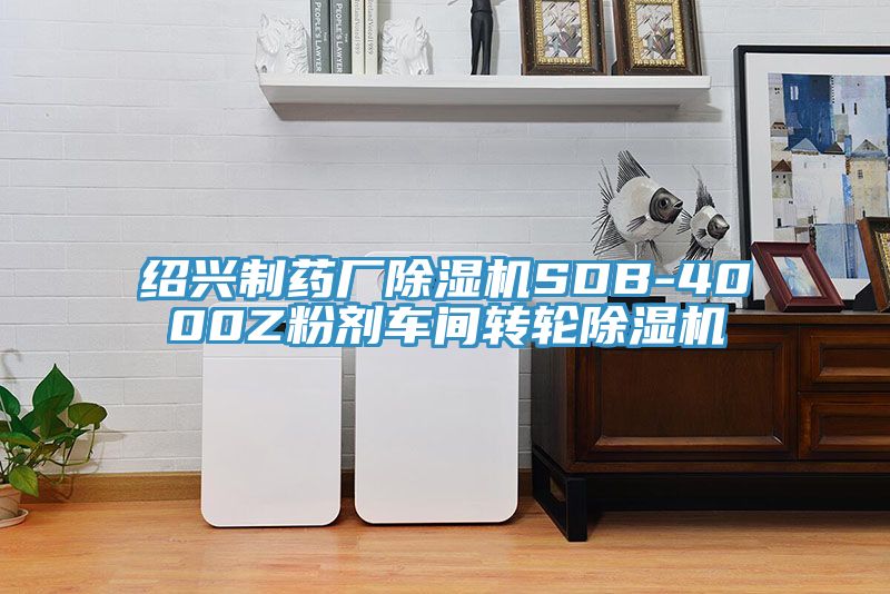 紹興制藥廠除濕機SDB-4000Z粉劑車間轉輪除濕機