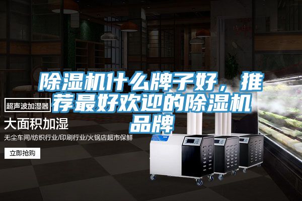 除濕機什么牌子好，推薦最好歡迎的除濕機品牌