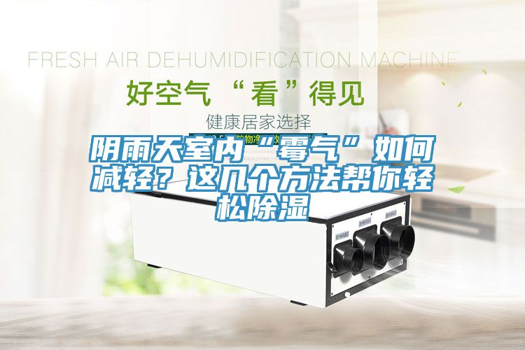 陰雨天室內(nèi)“霉氣”如何減輕？這幾個(gè)方法幫你輕松除濕