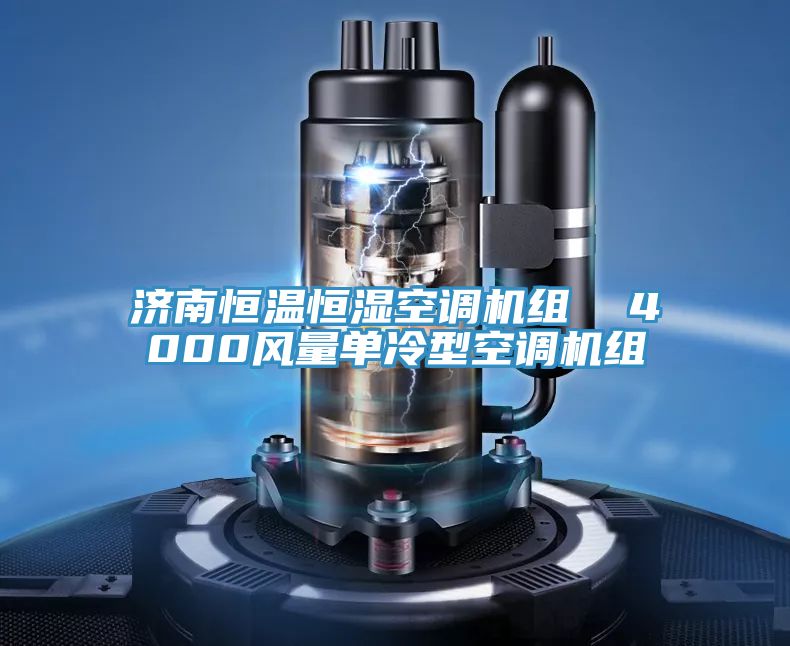 濟南恒溫恒濕空調(diào)機組  4000風(fēng)量單冷型空調(diào)機組