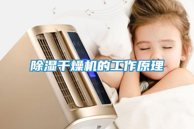 除濕干燥機的工作原理