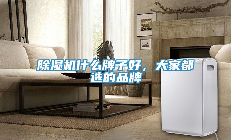 除濕機什么牌子好，大家都選的品牌