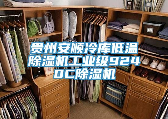 貴州安順冷庫(kù)低溫除濕機(jī)工業(yè)級(jí)9240C除濕機(jī)