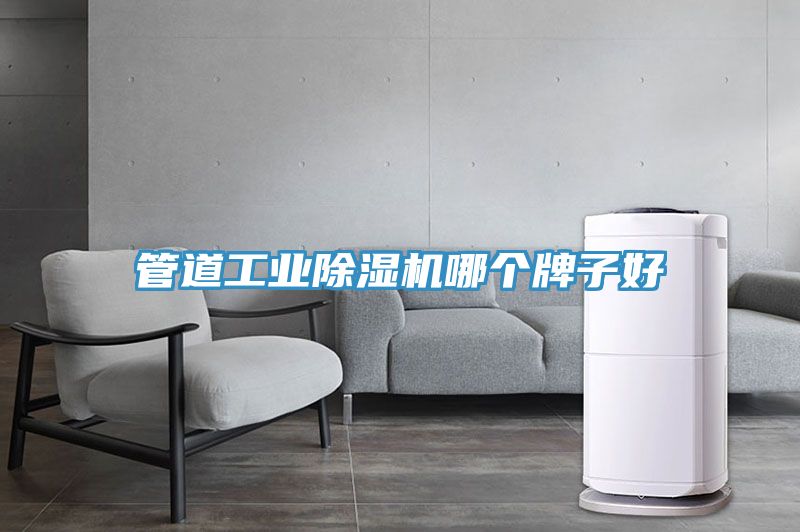 管道工業(yè)除濕機(jī)哪個(gè)牌子好