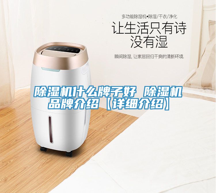除濕機什么牌子好 除濕機品牌介紹【詳細介紹】