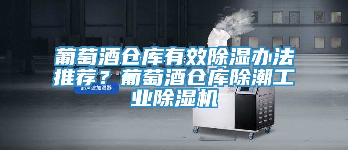 葡萄酒倉(cāng)庫有效除濕辦法推薦？葡萄酒倉(cāng)庫除潮工業(yè)除濕機(jī)