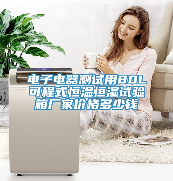 電子電器測(cè)試用80L可程式恒溫恒濕試驗(yàn)箱廠家價(jià)格多少錢