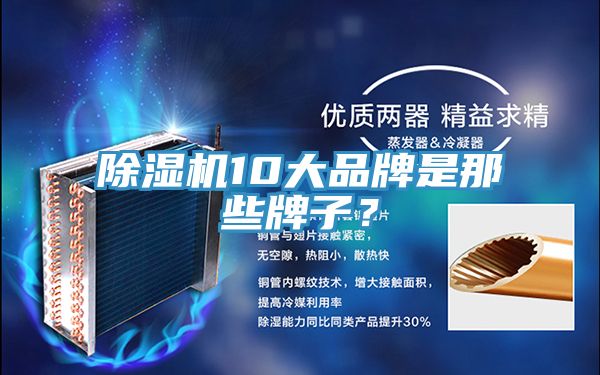 除濕機(jī)10大品牌是那些牌子？