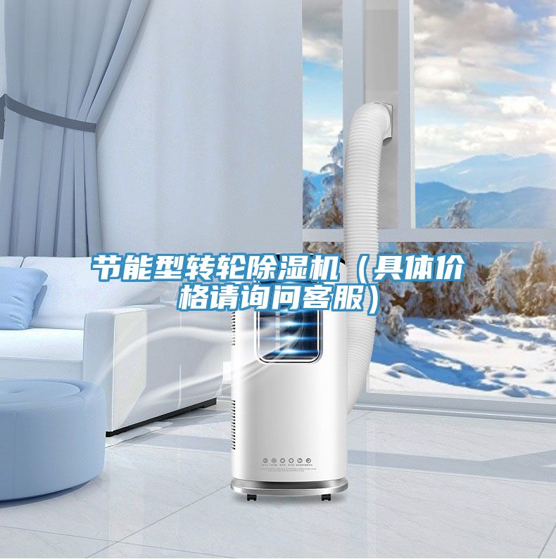 節(jié)能型轉(zhuǎn)輪除濕機(jī)（具體價(jià)格請(qǐng)?jiān)儐柨头?></div>
								<div   id=