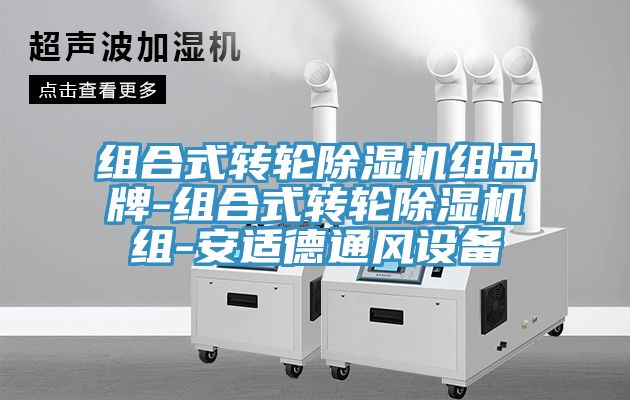 組合式轉輪除濕機組品牌-組合式轉輪除濕機組-安適德通風設備