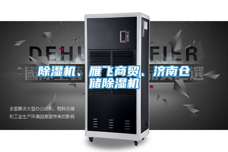 除濕機(jī)、雁飛商貿(mào)、濟(jì)南倉(cāng)儲(chǔ)除濕機(jī)