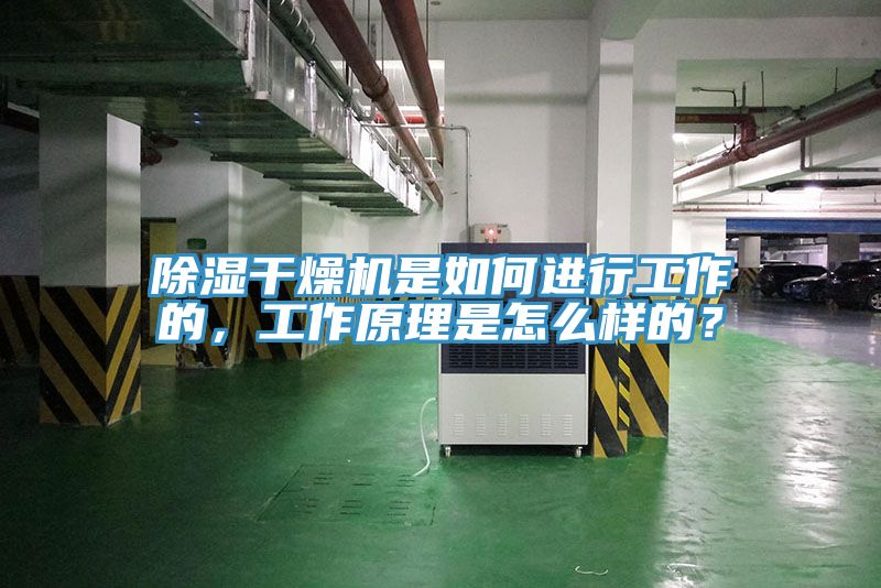 除濕干燥機是如何進行工作的，工作原理是怎么樣的？