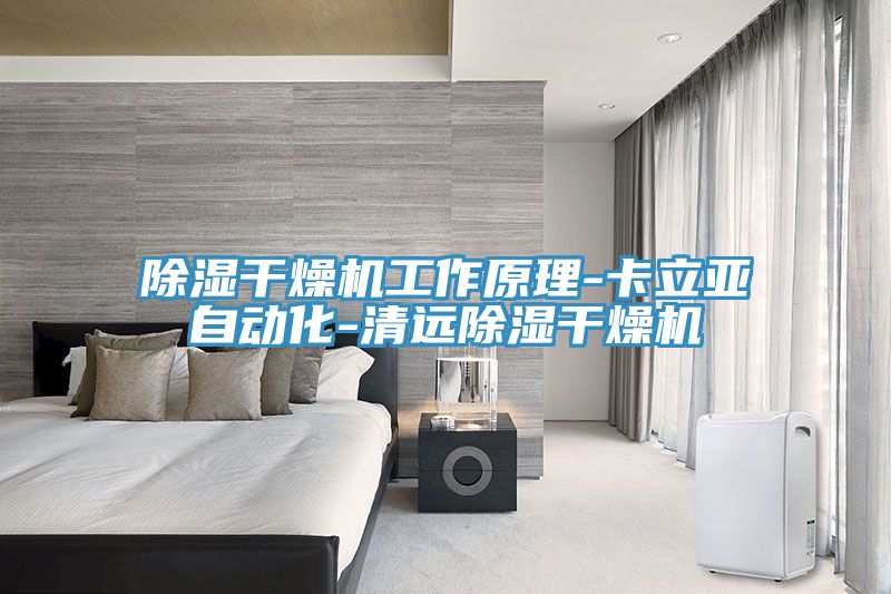 除濕干燥機(jī)工作原理-卡立亞自動化-清遠(yuǎn)除濕干燥機(jī)