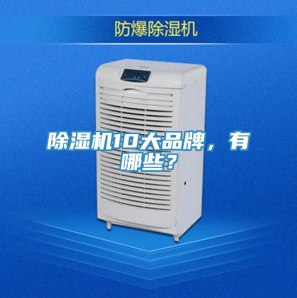 除濕機(jī)10大品牌，有哪些？