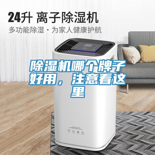 除濕機(jī)哪個(gè)牌子好用，注意看這里