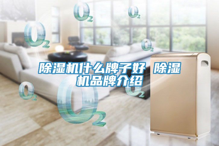 除濕機什么牌子好 除濕機品牌介紹