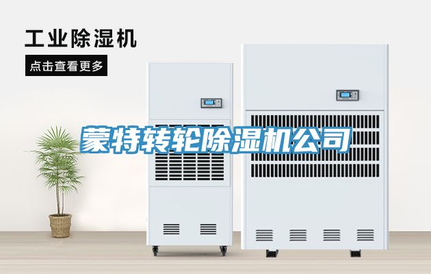 蒙特轉(zhuǎn)輪除濕機公司