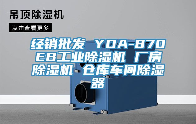 經銷批發(fā) YDA-870EB工業(yè)除濕機 廠房除濕機 倉庫車間除濕器