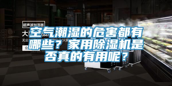空氣潮濕的危害都有哪些？家用除濕機是否真的有用呢？
