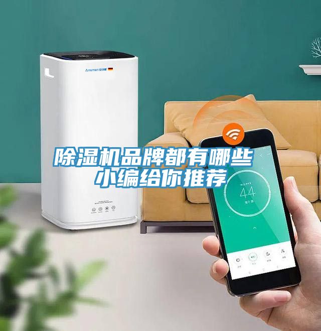 除濕機(jī)品牌都有哪些 小編給你推薦