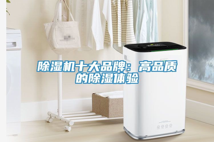除濕機十大品牌：高品質(zhì)的除濕體驗