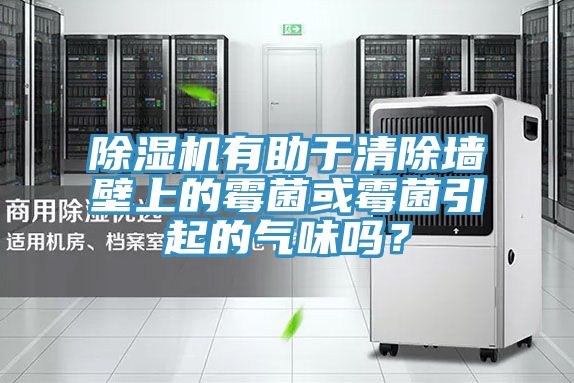 除濕機(jī)有助于清除墻壁上的霉菌或霉菌引起的氣味嗎？