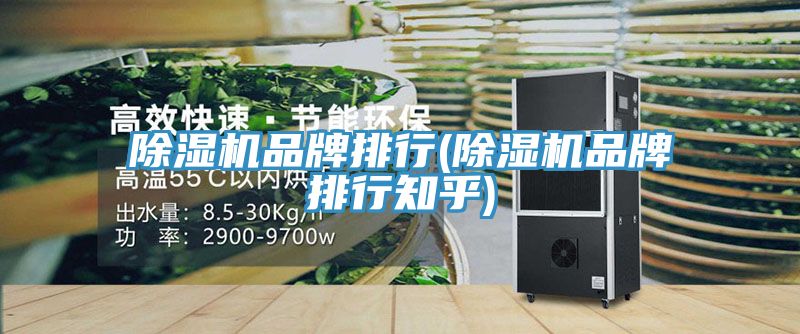 除濕機(jī)品牌排行(除濕機(jī)品牌排行知乎)
