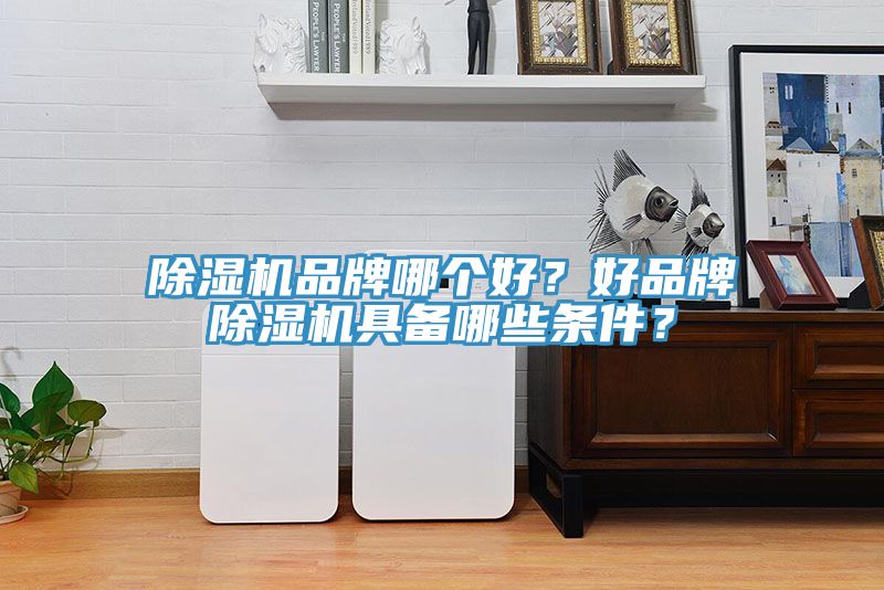 除濕機(jī)品牌哪個(gè)好？好品牌除濕機(jī)具備哪些條件？