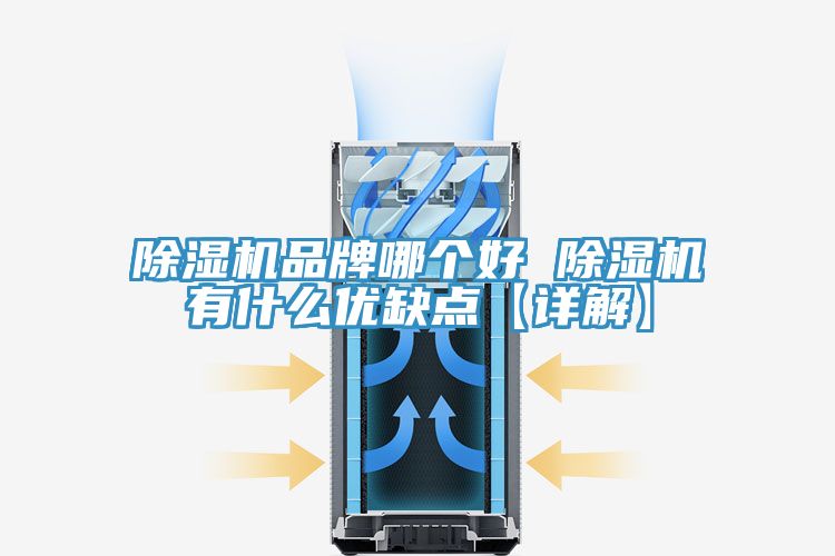 除濕機(jī)品牌哪個好 除濕機(jī)有什么優(yōu)缺點【詳解】